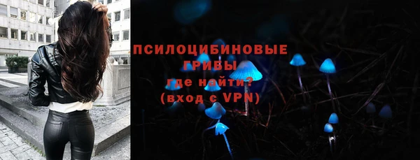 сатива Алексеевка
