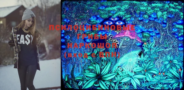 бошки Алзамай