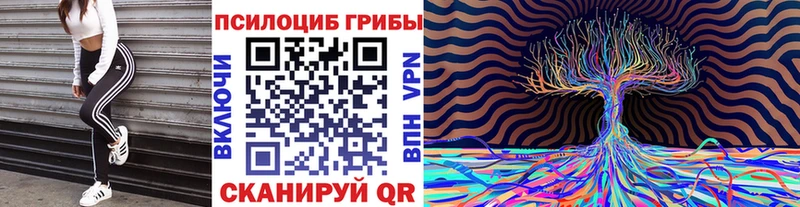 Галлюциногенные грибы MAGIC MUSHROOMS Новосиль