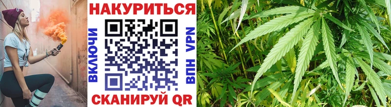 Конопля семена  Новосиль 